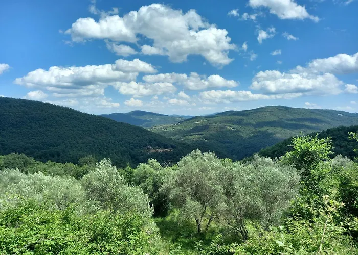 Διαμέρισμα Valle Dame *