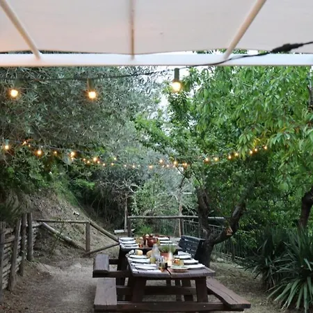 Valle Dame * Cortona