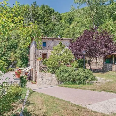 Valle Dame Cortone