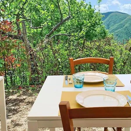 Valle Dame * Cortona