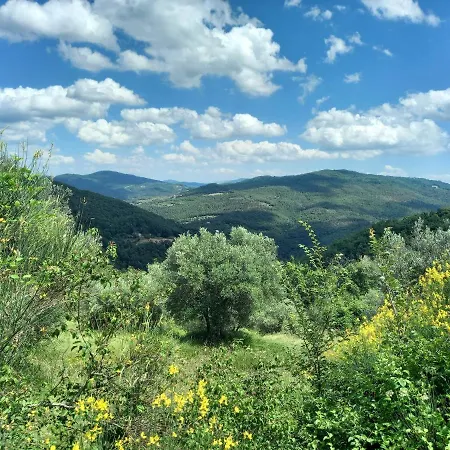 Διαμέρισμα Valle Dame Κορτόνα