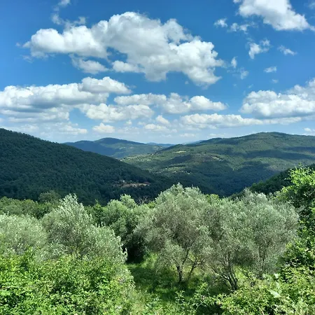 Διαμέρισμα Valle Dame *