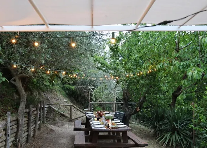 Valle Dame * Cortona